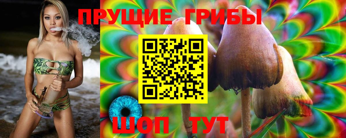 Галлюциногенные грибы ЛСД  Вход с VPN  Псилоцибиновые грибы MAGIC MUSHROOMS  Минусинск 