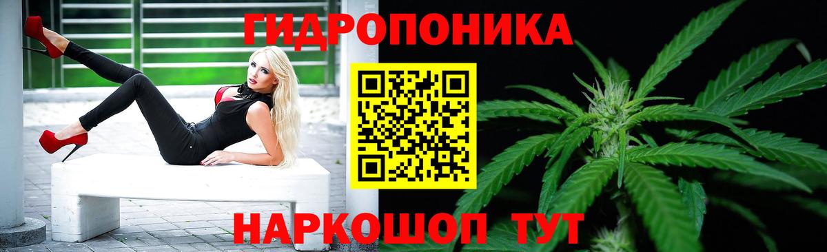 Бошки Шишки конопля  Марихуана план  Вход с VPN  Канабис Ganja  Минусинск 